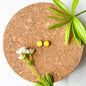 Circle Stud Earrings - Yellow Mix - Alcohol Ink - END OF LINE