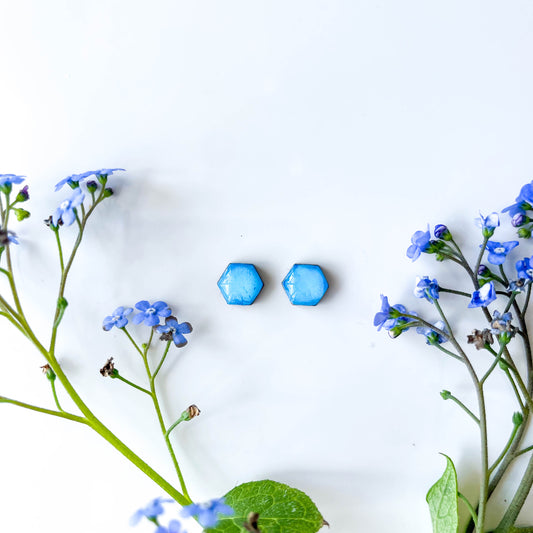 Hexagon Stud Earrings - Blue Mix - Rainbow Collection